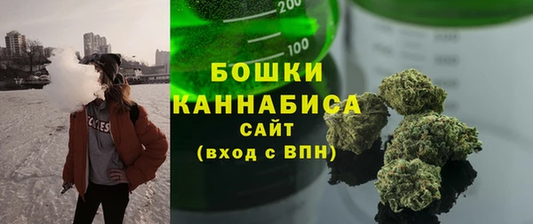 ГАЛЛЮЦИНОГЕННЫЕ ГРИБЫ Заводоуковск