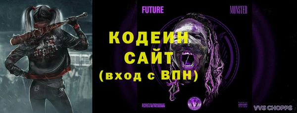 ГАЛЛЮЦИНОГЕННЫЕ ГРИБЫ Заводоуковск