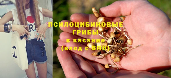 ГАЛЛЮЦИНОГЕННЫЕ ГРИБЫ Заводоуковск
