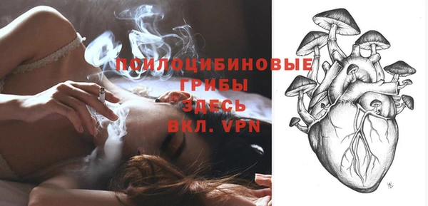 ГАЛЛЮЦИНОГЕННЫЕ ГРИБЫ Заводоуковск